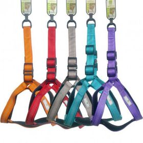Nunbell 2.5 cm Köpek Göğüs Tasması