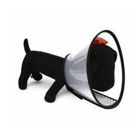 Nunbell 7 30 cm Köpek Elizabet Yakalık