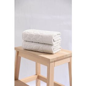 Nurpak Hazal 2'li 50x90 cm Açık Gri El Havlusu