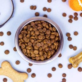Nutri Feline Urinary Böbrek Sağlığı Destekleyici Somonlu 2 kg Yetişkin Açık Kedi Maması