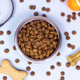 Nutri Feline Urinary Böbrek Sağlığı Destekleyici Somonlu 2 kg Yetişkin Açık Kedi Maması