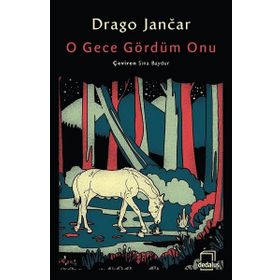O Gece Gördüm Onu - Drago Jancar