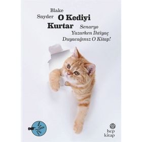 O Kediyi Kurtar - Blake Snyder