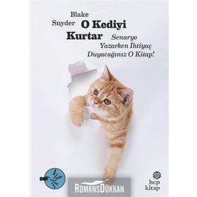 O Kediyi Kurtar - Blake Snyder