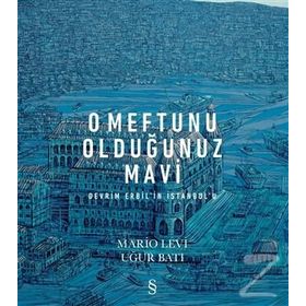 O Meftunu Olduğunuz Mavi: Devrim Erbil'in İstanbul'u - Mario Levi