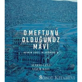 O Meftunu Olduğunuz Mavi: Devrim Erbil'in İstanbul'u - Mario Levi