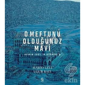 O Meftunu Olduğunuz Mavi: Devrim Erbil'in İstanbul'u - Mario Levi