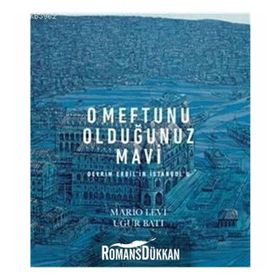 O Meftunu Olduğunuz Mavi: Devrim Erbil'in İstanbul'u - Mario Levi