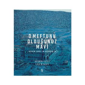O Meftunu Olduğunuz Mavi: Devrim Erbil'in İstanbul'u - Mario Levi