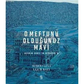 O Meftunu Olduğunuz Mavi: Devrim Erbil'in İstanbul'u - Mario Levi