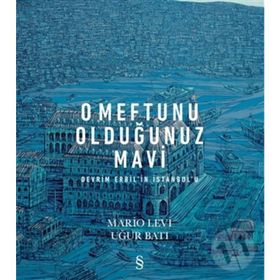 O Meftunu Olduğunuz Mavi: Devrim Erbil'in İstanbul'u - Mario Levi