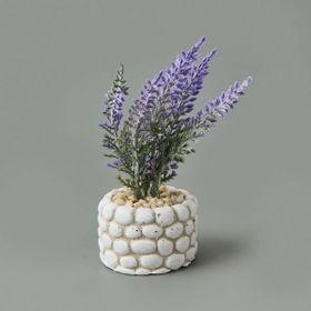 Objevi 10x5x5 cm Asorti Mini Saksıda Lavanta