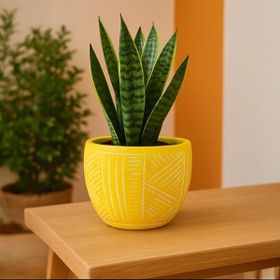 Objevi 13.5x12.5 cm Sarı Duvar Desenli Beton Saksı