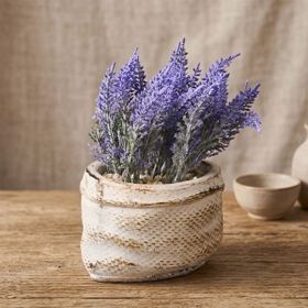 Objevi 13x9x9 cm Asorti Çuval Saksıda Kır Lavantası