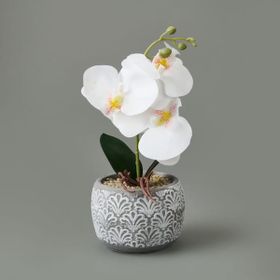 Objevi 28x12x12 cm Asorti Etnik Desenli Beton Saksı Real Touch Orkide