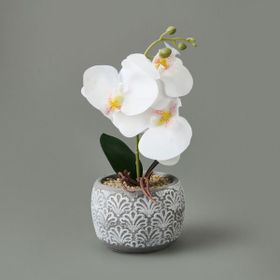 Objevi 28x12x12 cm Asorti Etnik Desenli Beton Saksı Real Touch Orkide