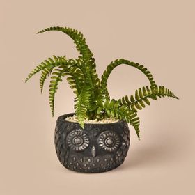 Objevi 29 cm Siyah Yeşil Saksılı Yapay Çiçek