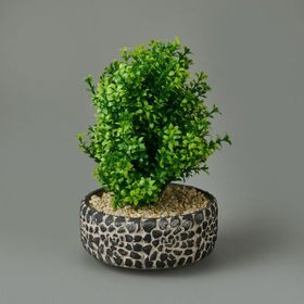 Objevi 30x14x14 cm Dekoratif Çakıl Ağacı