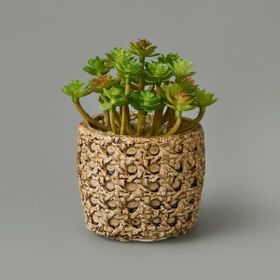 Objevi 7x8x8 cm Hasır Efekt Saksıda Sukulent
