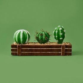 Objevi 8x21 cm Kahverengi Mini Kasada Kaktüs