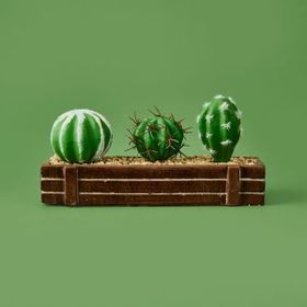 Objevi 8x21 cm Kahverengi Mini Kasada Kaktüs