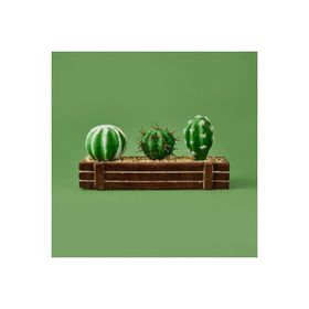 Objevi 8x21 cm Kahverengi Mini Kasada Kaktüs