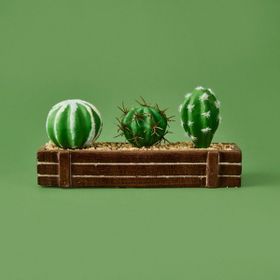 Objevi 8x21 cm Kahverengi Mini Kasada Kaktüs
