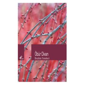 ÖBÜR DIVAN - İBRAHIM TENEKECI