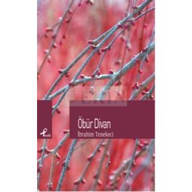 ÖBÜR DIVAN - İBRAHIM TENEKECI