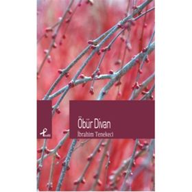 ÖBÜR DIVAN - İBRAHIM TENEKECI