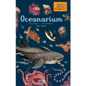 Oceanarium Megakids Yayıncılık