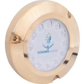 Oceanus OCL-1245 Mavi Işık Bronz Su Altı Aydınlatma Lambası