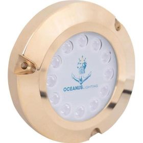 Oceanus OCL-1245 Mavi Işık Bronz Su Altı Aydınlatma Lambası