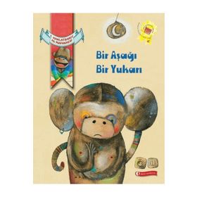 ODTÜ Geliştirme Vakfı Yayıncılık Bir Aşağı Bir Yukarı
