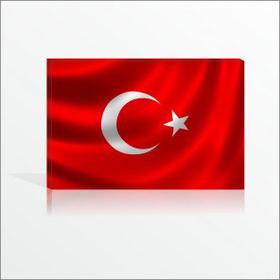 Ofis Okul Karakol Duvarı İçin 60x90 Türk Bayrağı cm Kanvas Tablo