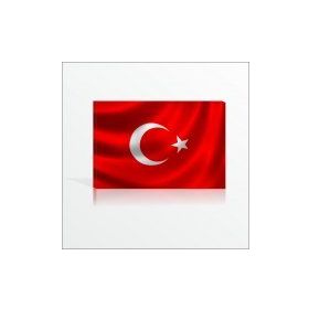 Ofis Okul Karakol Duvarı İçin 60x90 Türk Bayrağı cm Kanvas Tablo