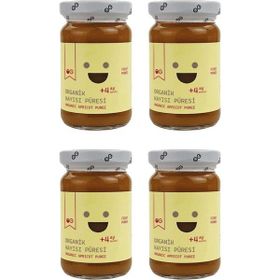 Og Natural Organik +4 Ay 4x100 gr Kayısı Püresi
