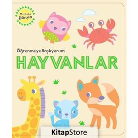 Öğrenmeye Başlıyorum - Hayvanlar - Kolektif