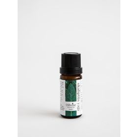 Oilwise 10 ml Okaliptüs Yağı