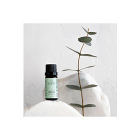 Oilwise 10 ml Okaliptüs Yağı