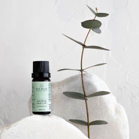 Oilwise 10 ml Okaliptüs Yağı