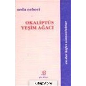 OKALİPTÜS YEŞİM AĞACI - SEDA CEBECI