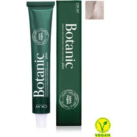 OKAY Buz Gri Botanic Plus Saç Boyası