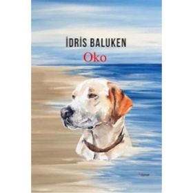 Oko - İdris Baluken