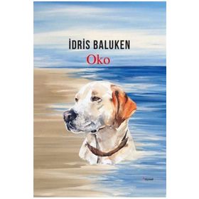 Oko - İdris Baluken