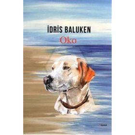 Oko - İdris Baluken