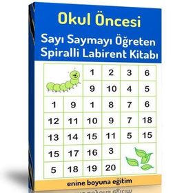 Okul Öncesi Sayı Saymayı Öğreten Labirent Kitabı