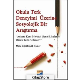OKULU TERK DENEYIMI ÜZERINE SOSYOLOJIK BIR ARAŞTIRMA ANKARA KENT MERKEZI GENEL LISELERDE OKULU TERK NEDENLERI - MINE GÖZÜBÜYÜK TAMER
