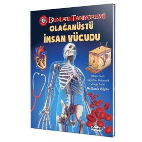Olağanüstü İnsan Vücudu Aktivite Kitabı - Victoria England - Teleskop Popüler Bilim Yayınları