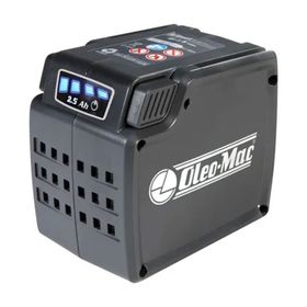 Oleo Mac 54030002C Akü